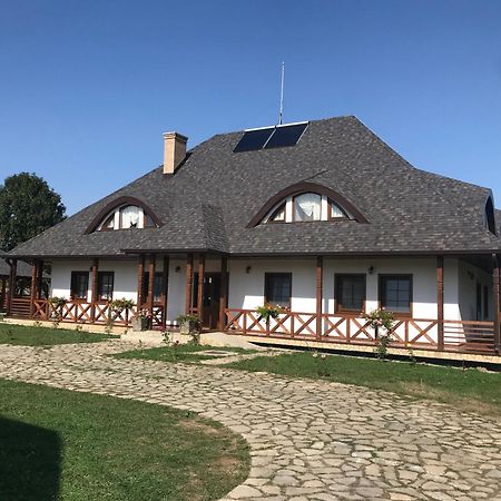 Casa Strabunicului 호텔 Partestii de Sus  외부 사진