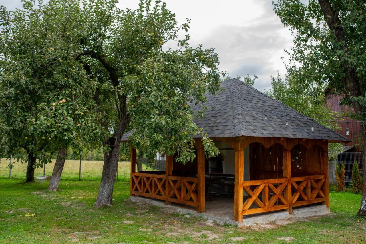 Casa Strabunicului 호텔 Partestii de Sus  외부 사진